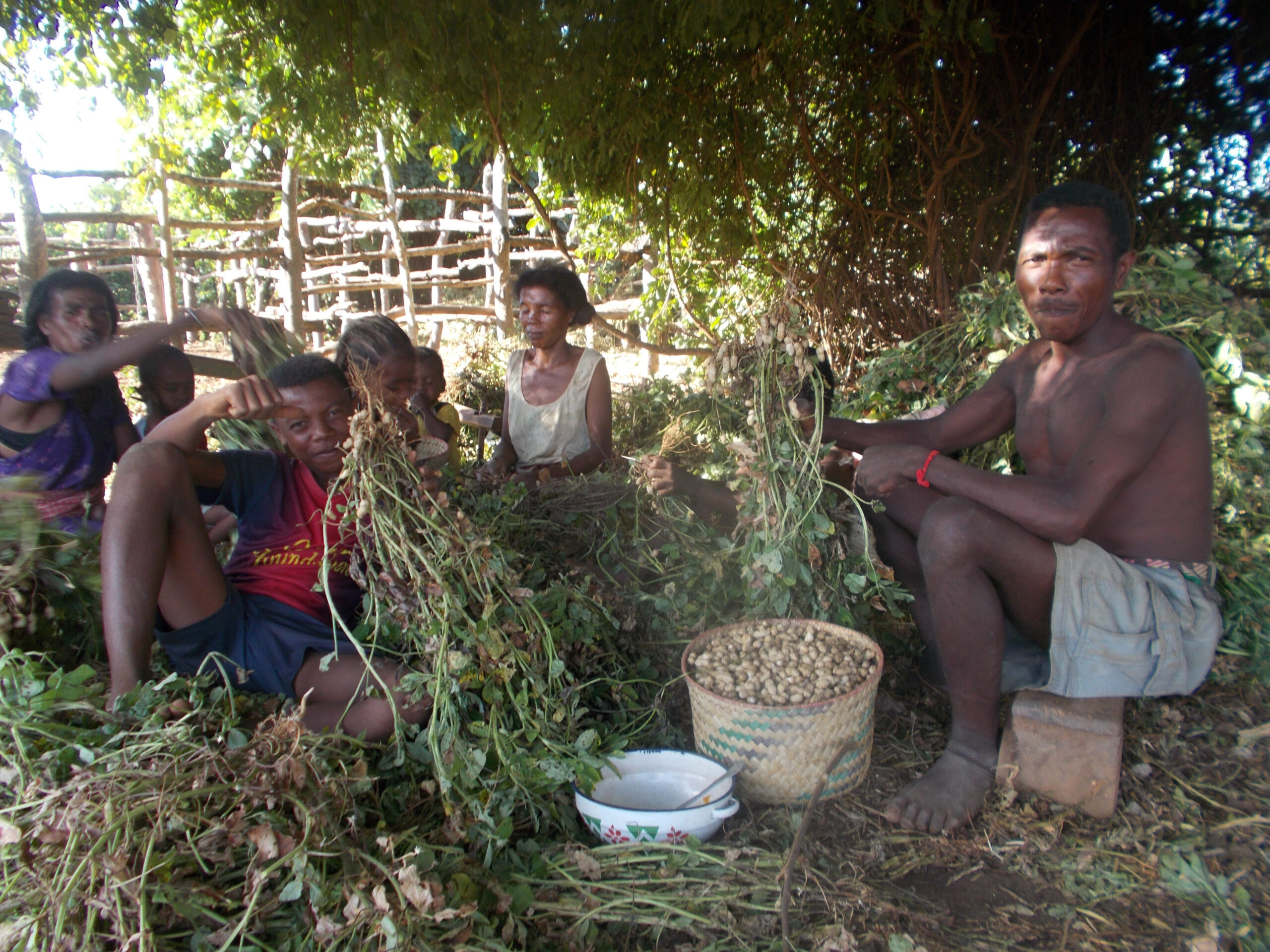 1f64ef5b3c827dbbd1206aa57f0bb8b49a4857f1